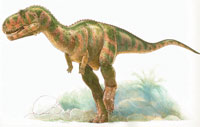 Abelisaurus